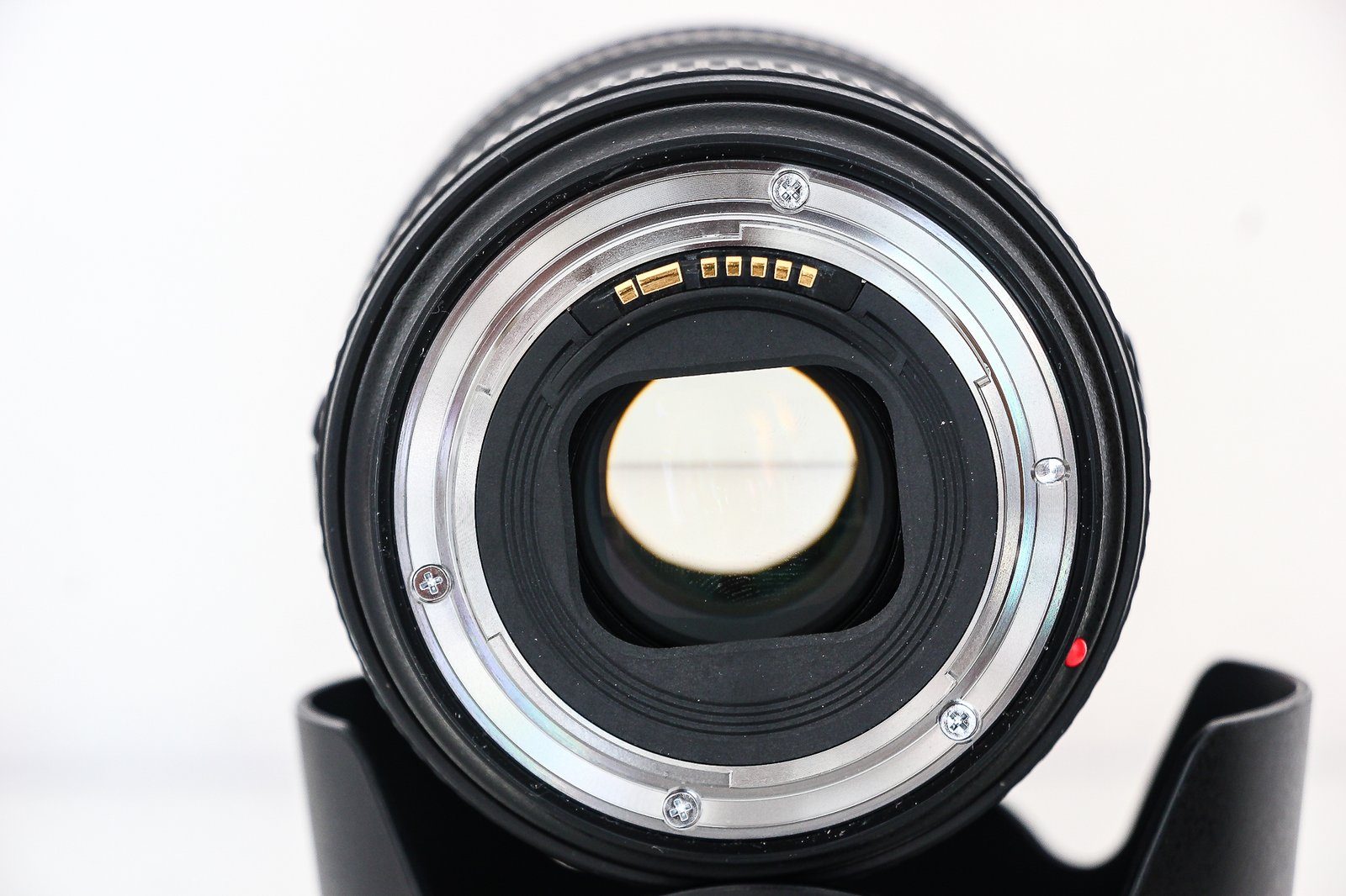 Canon EF 24-105 f4L II shop.wr-photography.de